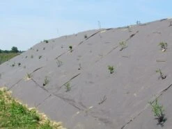 RootBarrier® BioCovers® 157 G/m² 50 Mtr 200cm X 30cm -Tuinverzorgingswinkel 117 3