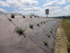 RootBarrier® BioCovers® 157 G/m² 25 Mtr 100cm X 30cm -Tuinverzorgingswinkel 119 2 1