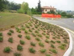 DuPont Plantex Gold 125 G/m² 50 Mtr 100cm 11 DuPont Plantex Gold 125 G/m² 50 Mtr 100cm -Tuinverzorgingswinkel 12 4 1