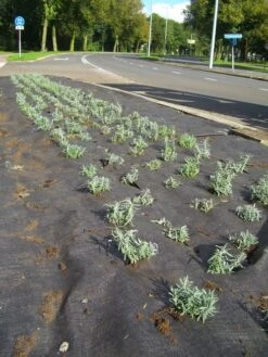 DuPont Plantex Pro 90 G/m² 50 Mtr 100cm X 15cm -Tuinverzorgingswinkel 44 1 1