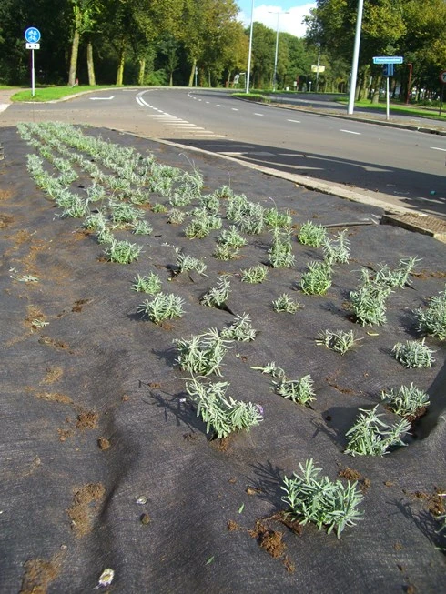 DuPont Plantex Pro 90 G/m² 25 Mtr 200cm X 11.0cm 4 DuPont Plantex Pro 90 G/m² 25 Mtr 200cm X 11.0cm - Afbeelding 2