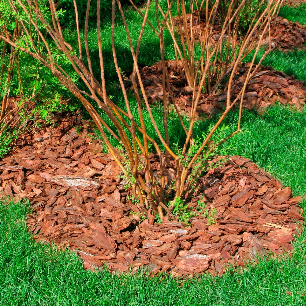 70L Boomschors Décor 5-15mm 6 70L Boomschors Décor 5-15mm - Afbeelding 4