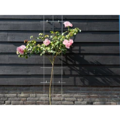 Nature - Metalen Klimrek Geplastificeerd Grijs H145x42,5cm 8 Nature - Metalen Klimrek Geplastificeerd Grijs H145x42,5cm -Tuinverzorgingswinkel nature metalen klimrek geplastificeerd grijs h145x42 5cm 3 2