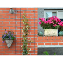 Nature - Metalen Klimrek Geplastificeerd Grijs H145x72,5cm 8 Nature - Metalen Klimrek Geplastificeerd Grijs H145x72,5cm -Tuinverzorgingswinkel nature metalen klimrek geplastificeerd grijs h145x72 5cm 3 2