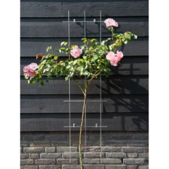 Nature - Metalen Klimrek Geplastificeerd Groen H145x42,5cm 7 Nature - Metalen Klimrek Geplastificeerd Groen H145x42,5cm -Tuinverzorgingswinkel nature metalen klimrek geplastificeerd groen h145x42 5cm 2 2