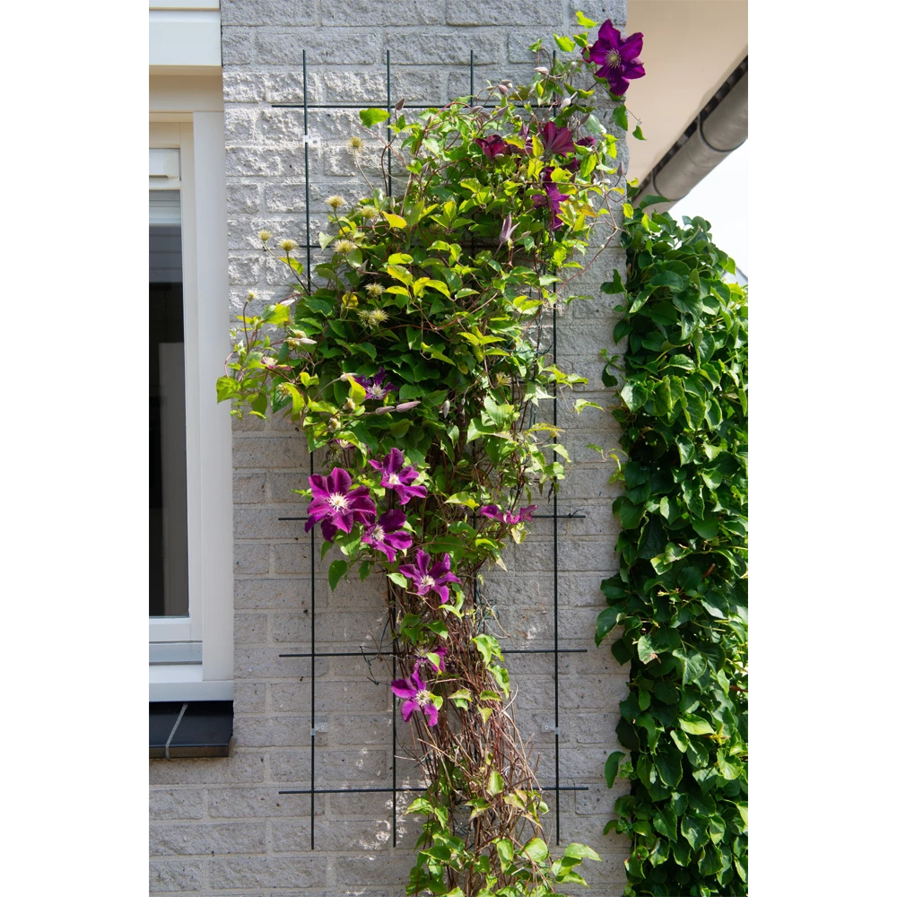 Nature - Metalen Klimrek Geplastificeerd Groen H145x57cm 4 Nature - Metalen Klimrek Geplastificeerd Groen H145x57cm - Afbeelding 2