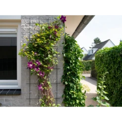 Nature - Metalen Klimrek Geplastificeerd Groen H145x57cm 8 Nature - Metalen Klimrek Geplastificeerd Groen H145x57cm -Tuinverzorgingswinkel nature metalen klimrek geplastificeerd groen h145x57cm 3 2