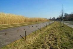 RootBarrier® BioCovers® 157 G/m² 25 Mtr 100cm X 30cm