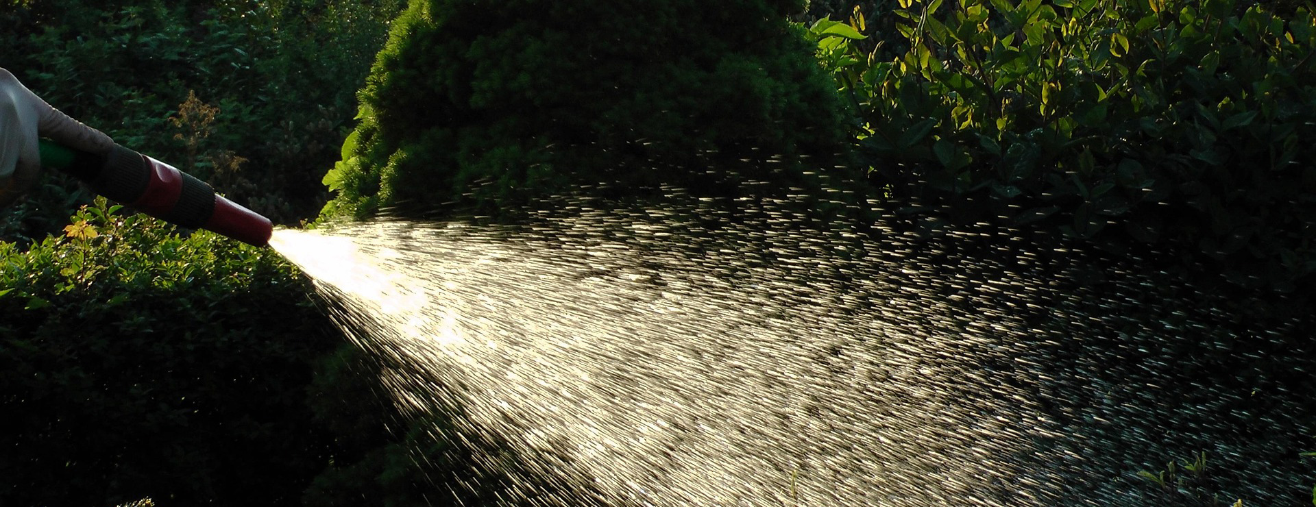 Tuinverzorgingswinkel 1 Tuinverzorgingswinkel -Tuinverzorgingswinkel water 507386 1920